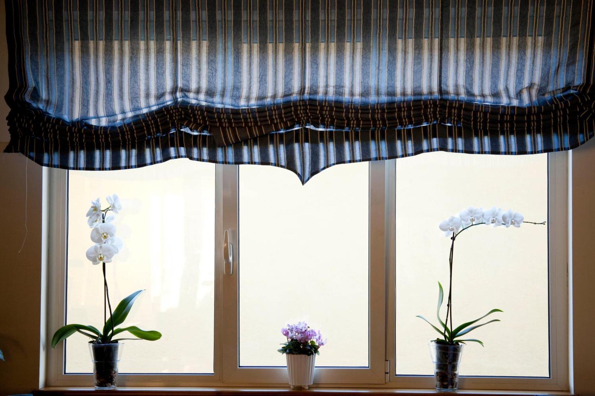 Albergo Da Benedetta Vetralla Zewnętrze zdjęcie